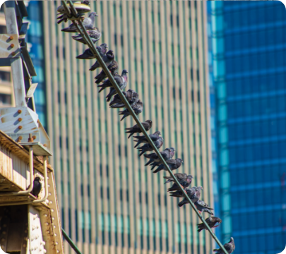 about_sec2_fleximage3