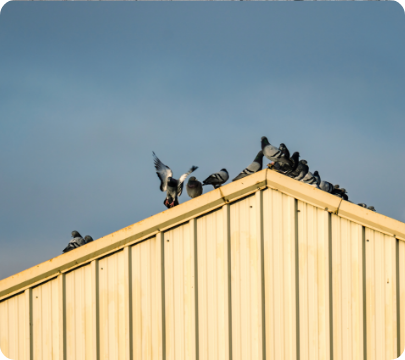 about_sec2_fleximage4