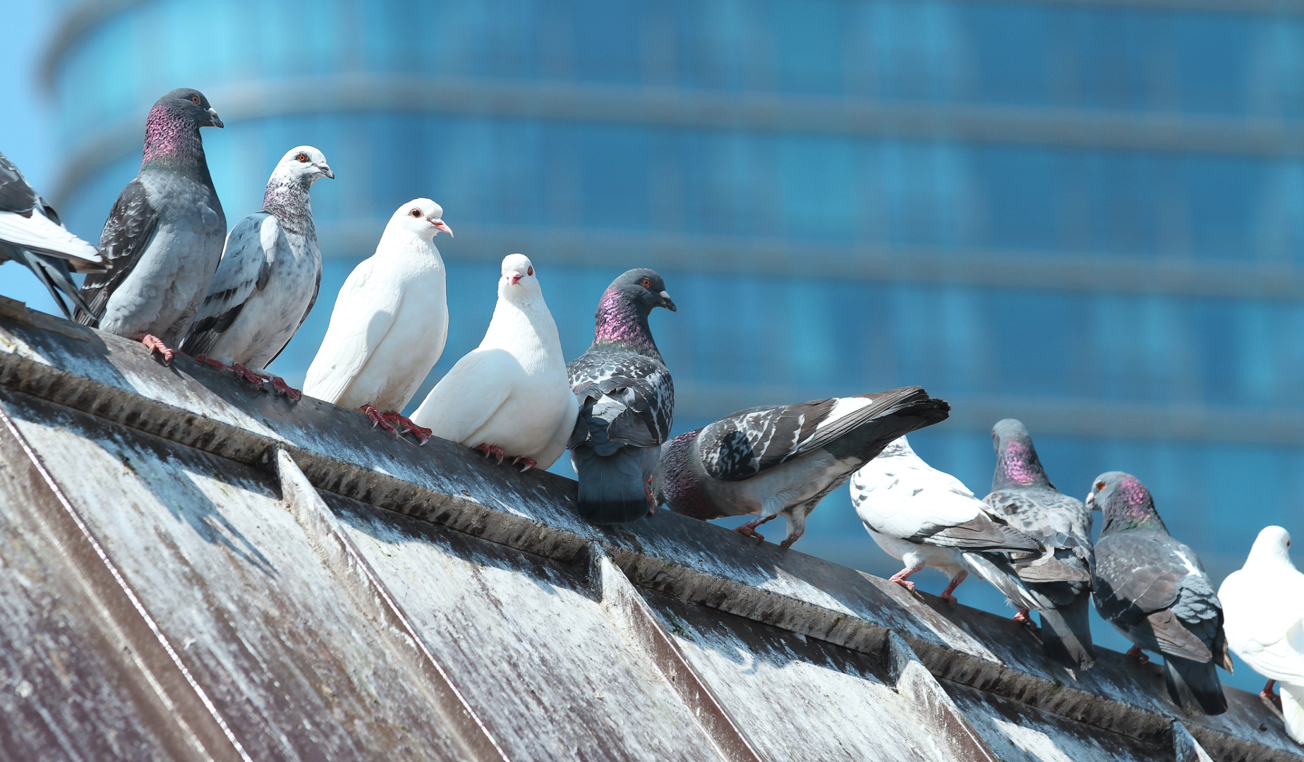 agency_sec4_block1_image